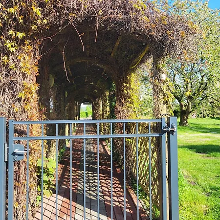 06 Grashüpfer - Hof Wiesengrund * Parchtitz